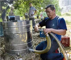  ??  ?? Liquid asset: Jiang preparing a honey filter before collecting the honey in Hsinchu, northern Taiwan. — AFP