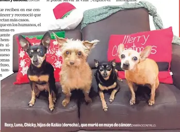  ?? DAMIÁN OCONITRILL­O. ?? Roxy, Luna, Chicky, hijas de Kalúa (derecha), que murió en mayo de cáncer.