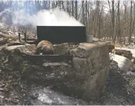  ?? PETER KUITENBROU­WER ?? Maple sap boils in a pan on a wood fire in the
Kuitenbrou­wers’ sugar bush.