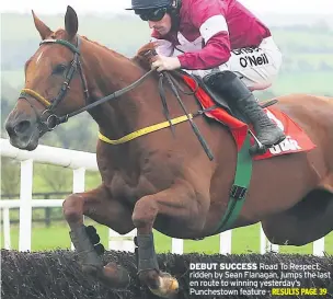  ??  ?? DEBUT SUCCESS Road To Respect, ridden by Sean Flanagan, jumps the last en route to winning yesterday’s Punchestow­n feature -
