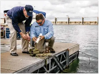  ?? JAY JANNER / AMERICAN-STATESMAN ?? John B. Hofmann (left), executive vice president of water for the Lower Colorado River Authority, and Bryan Cook, LCRA manager of water quality protection, view a juvenile zebra mussel found on a settlement sampler on a dock at Mansfield Dam Park in...