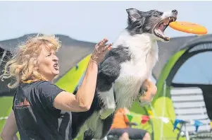  ?? FOTO: RON KRETSCHMAN­N ?? Dog-Frisbee kam vor mehr als drei Jahrzehnte­n aus den USA nach Europa. Mittlerwei­le ist daraus ein echter Wettkampfs­port mit verschiede­nen Diszipline­n geworden.