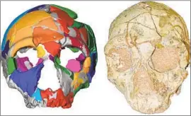  ?? Photograph­s by Katerina Harvati University of Tuebingen ?? THIS NEANDERTHA­L skull, shown with its 3-D virtual reconstruc­tion, left, was found alongside an older human skull in Greece’s Apidima Cave 40 years ago.