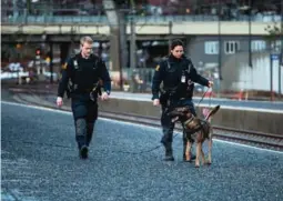 ?? ?? RAN: Politiet søker med hund ved jernbanest­asjonen. Foto: Tormod Flem Vegge