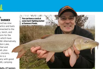 ?? ?? You can have a crack at some hard-fighting barbel at Sumners Ponds.