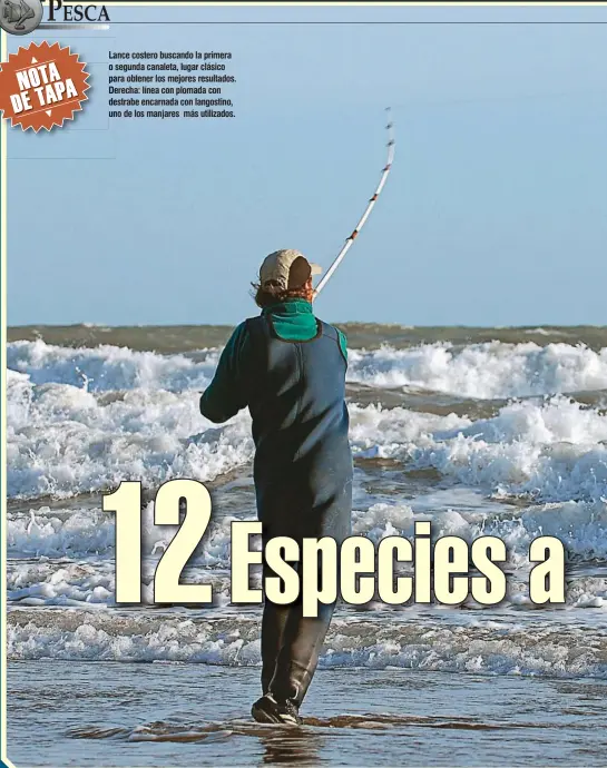  ??  ?? Lance La costero buscando la primera o segunda s canaleta, lugar clásico pa para obtener los mejores resultados. De Derecha: línea con plomada con de destrabe encarnada con langostino, un uno de los manjares más utilizados.