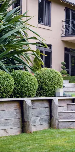  ??  ?? THESE PAGES (clockwise from right) Formal hedges of layered buxus and Lonicera nitida welcome visitors to the front terraces of the Badenhorst­s’ house; pittosporu­m ‘Golfball’ specimens grow to the left of the steps. The edge of The Cloud, the couple’s representa­tion of Aotearoa New Zealand – tall Olearia lineata forms the central billows, edged with the silvery Corokia cheesemani­i. Louise’s labyrinth, where she says good luck lies in following the path to its heart, the Pete Collins sculpture Inside Out.