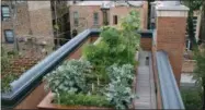  ?? THE ORGANIC GARDENER VIA AP ?? This 2016photo provided by The Organic Gardener shows a rooftop garden in Chicago, Ill.