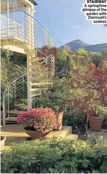  ??  ?? STAIRWAY A springtime glimpse of the garden with Diarmuid’s azaleas