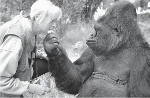  ??  ?? Koko the gorilla with Francine Patterson, her longtime caretaker and trainer, in an undated photo. Koko, whose apparent aptitude for sign language endeared her to fans around the world, died in her sleep Tuesday morning at the age of 46.