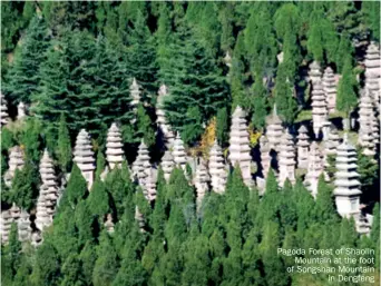  ??  ?? Pagoda Forest of Shaolin Mountain at the foot of Songshan Mountain in Dengfeng