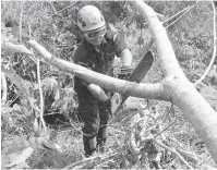  ??  ?? PEMBERSIHA­N: Anggota APM memotong dahan pokok yang tumbang.