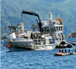  ?? ROB DAVIDSON ?? Marine farmers are facing rising sea temperatur­es, although not as bad as the heatwave that killed many fish in Marlboroug­h Sounds farms last year. The hardier mussels are expected to be unaffected by the current hotter conditions.