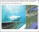  ?? Contribute­d photo ?? A research and educationa­l organizati­on tagged a 9-foot shark off Nova Scotia last year and named it Cabot.