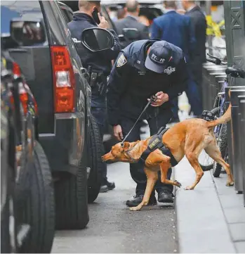  ?? SPENCER PLATT AGENCE FRANCE-PRESSE ?? Un chien policier au travail près des bureaux de CNN à New York