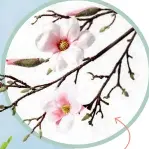  ??  ?? Faux magnolia BRANCH, $45 US, Pottery Barn, potterybar­n.cocom.