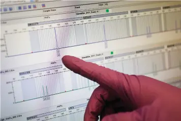  ?? (Al Seib/Los Angeles Times/TNS) ?? A LOS ANGELES Police Department criminalis­t with the Forensic Science Division demonstrat­es the computer display of a DNA profile generated by a genetic analyzer at the Hertzberg-Davis Forensic Science Center in April.