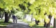  ?? MARCUS OLENIUK/TORONTO STAR ?? The Greenbelt cycling route begins in the Niagara region, winds through the northern GTA before ending east of Oshawa.