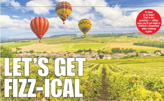  ?? ?? To float or to flute? That is the question — either way, you’ll get high in France’s renowned wine-making region.