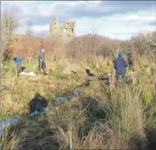  ?? Photograph: Tarbert Castle ?? Planting trees in the grounds of the castle.