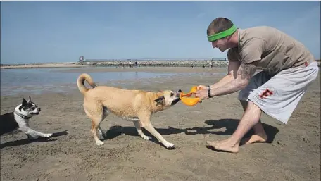  ?? Kevin Chang Daily Pilot ?? SEAN ROWE of Newport Beach plays with Jameson in 2016. Canines are allowed on Newport beaches for certain hours — leash required.