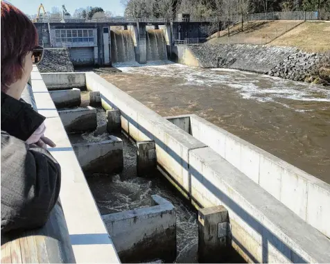  ?? Foto: Pitt Schurian ?? Die Wertach schäumt dieser Tage und der Fluss ist braun wie selten im Jahr. Ausflügler an ihren Ufern rätseln nicht nur hier bei Großaiting­en.