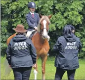  ??  ?? Who decided which judge was nicer in the equestrian competitio­n?