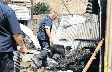  ?? / MDUDUZI NDZINGI ?? A sniffer dog helps emergency personnel at the scene where two children were burnt to death while sleeping inside a shack in Kagiso on the West Rand.