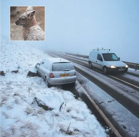  ??  ?? An abandoned car is parked at the roadside after skidding into a rock in Derbyshire, northern England, at the weekend. Inset: A snow-covered wallaby at Cape May County Park Zoo in New Jersey in the US. Pictures: AFP/AP