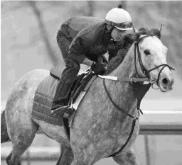  ?? BARBARA D. LIVINGSTON ?? New York Central (above) and Dream Baby Dream represent Steve Asmussen in the Grade 3 Sunland Derby.