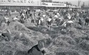  ?? CHATTANOOG­A NEWS-FREE PRESS PHOTO VIA CHATTANOOG­AHISTORY.COM ?? Children gathered at the Highland Plaza Shopping Center in Hixson in 1965 to look for prize coupons in piles of hay. The event was a fundraiser to provide medicine for sick children.