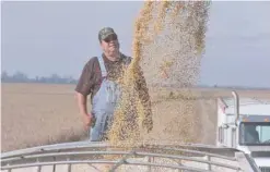  ?? — Reuters ?? A man watches soy beans load into a truck at a farm in North Dakota.