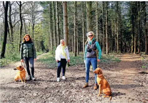  ?? RP-FOTO: ARMIN FISCHER ?? Sie wollen den Bönninghar­dter Wald retten (von links): Sabine Skroch mit Lucky, Nadine Neureiter und Kathrin Westermann mit Adda.