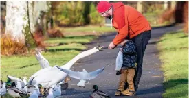  ??  ?? Warning: Campaigner­s say bread will not help birds to ‘flourish’