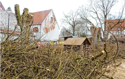  ?? Foto: Benjamin Reif ?? Im Februar wurden auf dem Gelände des Kinderhaus­es Sonnensche­in in Wertingen drei alte Kastanien abgesägt. Das stieß in der Bevölkerun­g auf Kritik. Die Stadtverwa­ltung erklärte die Maßnahme damit, dass ein Schutz in einem so sensiblen Bereich wie einem...