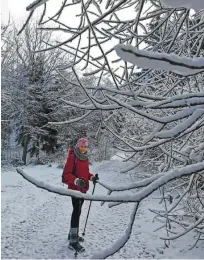  ??  ?? Pozimi narava počiva, na pragu pomladi in poletja pa se tod v vsej svoji lepoti pokaže botanična pestrost.