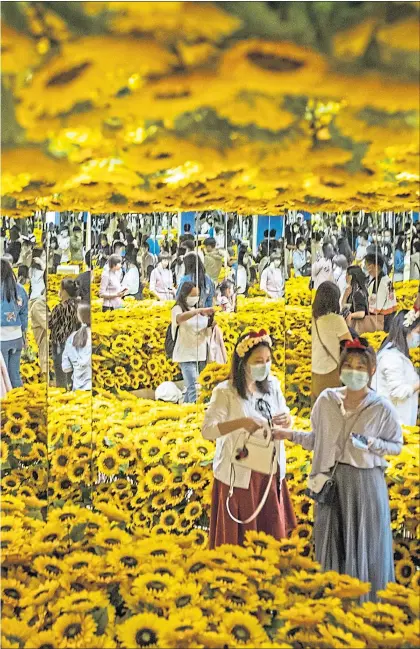  ?? ?? Visitors surrounded by sunflowers at the interactiv­e Van Gogh Alive exhibition in Beijing, China, in October, main, and, above, one of the artist’s Sunflowers paintings