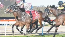  ?? Picture: STEVE HART ?? Destiny's Kiss (No.1) wins the Wyong Cup.