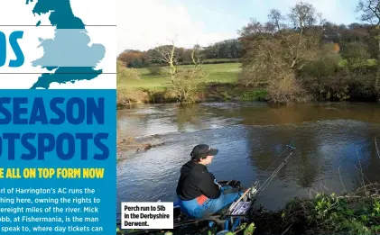  ??  ?? Perch run to 5lb in the Derbyshire Derwent.