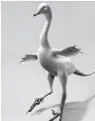  ??  ?? Illustrati­on shows a Halszkarap­tor escuilliei dinosaur.