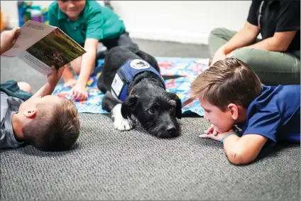  ?? Photo courtesy of SCCS ?? Charles, a licensed reading therapy dog, sits with students at Santa Clarita Christian School.