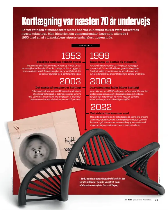  ?? ?? I 1953 tog forskeren Rosalind Franklin det første billede af dna (til venstre), som afslørede molekylets form (til højre).