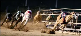  ?? AP ?? Greyhounds compete in a race at the Iowa Greyhound Park on April 16, in Dubuque, Iowa. After the end of a truncated season in Dubuque in May, the track here will close. By the end of the year, there will only be two tracks left in the country.