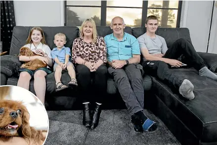  ?? ANDY JACKSON/STUFF ?? Pippa the Cavalier King Charles Spaniel is now back home with her family. Pictured with Pippa are, from left, Holly Joyce, 13, Brodie Tanner, 6, Margaret Joyce, Richard Joyce and Christophe­r Joyce, 19.