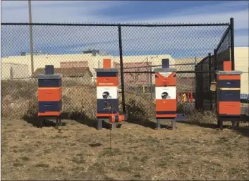  ??  ?? This Nov. 16 photograph, shows four hives on the property of the Denver Broncos NFL football headquarte­rs in Englewood, Colo. It is believed that the Broncos are the first profession­al sports team to serve as beehive hosts. AP PHOTO/ ARNIE STAPLETON