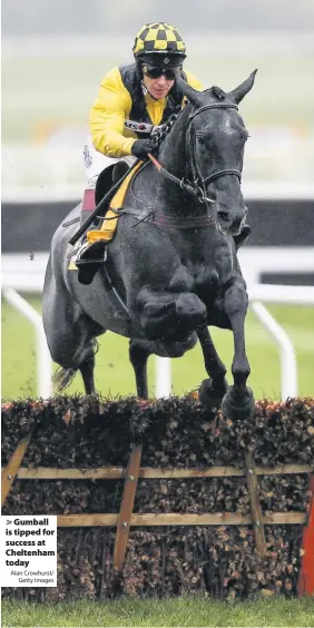  ?? Alan Crowhurst/
Getty Images ?? Gumball is tipped for success at Cheltenham today