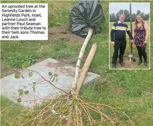  ??  ?? An uprooted tree at the Serenity Garden in Highfields Park. Inset, Leanne Louch and partner Paul Seaman with their tribute tree to their twin sons Thomas and Jack