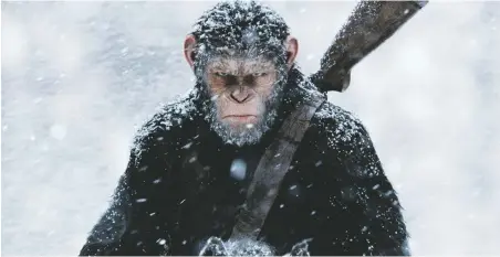  ??  ?? The simians are seething: War for the Planet of the Apes, at Regal Stadium 14, Violet Crown, and DreamCatch­er