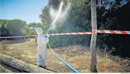  ?? JULIO GONZÁLEZ ?? Fumigación en una zona considerad­a de riesgo.