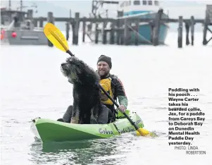  ?? PHOTO: LINDA
ROBERTSON ?? Paddling with his pooch . . . Wayne Carter takes his bearded collie, Jax, for a paddle from Careys Bay to Deborah Bay on Dunedin Mental Health Paddle Day yesterday.